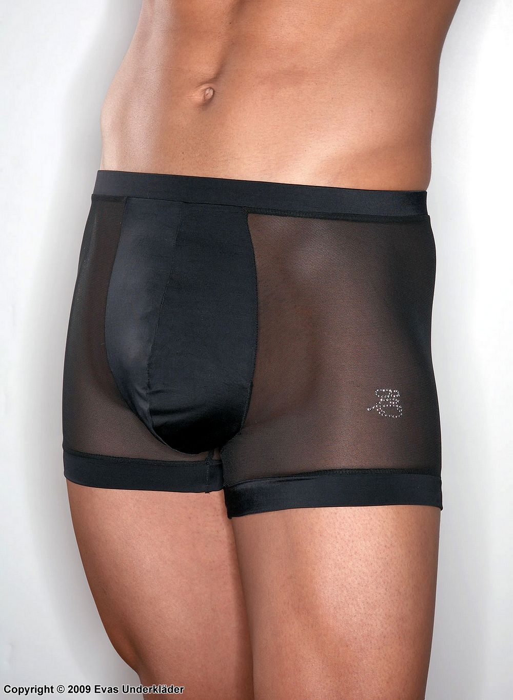 Fitted boxer shorts in sheer mesh